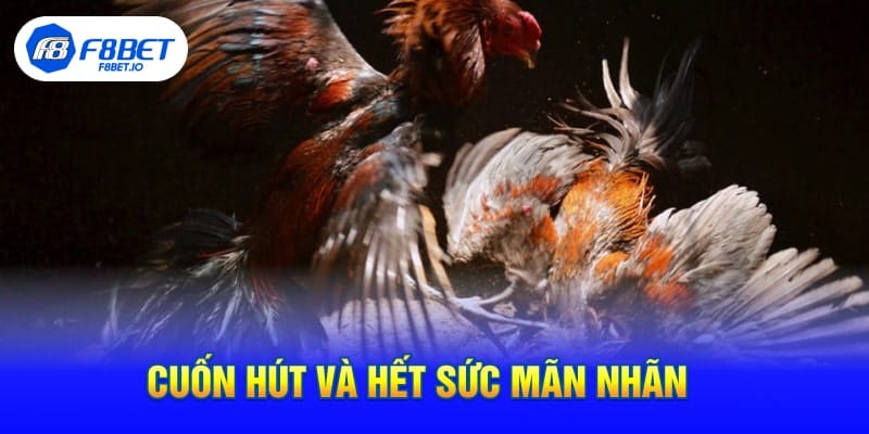 Cuốn Hút Và Hết Sức Mãn Nhãn