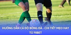Hướng Dẫn Cá Độ Bóng Đá - 03+ Mẹo Hay Từ VOKBET